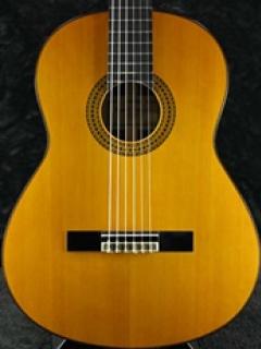 GC22C【Webショップ限定】