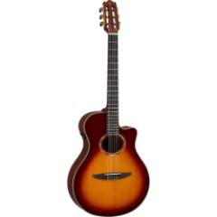 NTX3 -Brown Sunburst-【Webショップ限定】