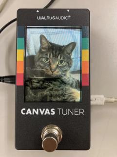 Canvas Tuner 《高精度チューナー》【オンラインストア限定】