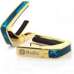 Capos Exotic Shell TEAL ANGEL WING -24K Gold- │ ギター用カポタスト
