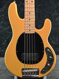 SUB Ray25CA StingRay Classic -Butterscotch-【5弦】【アクティブ】【金利0%対象】【Webショップ限定】