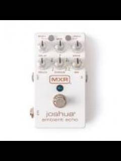 M309 Joshua Ambient Echo《エコー》【Webショップ限定】