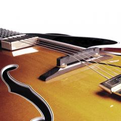 Archtop Guitar Pickup 【アーチトップギター用】【Webショップ限定!】