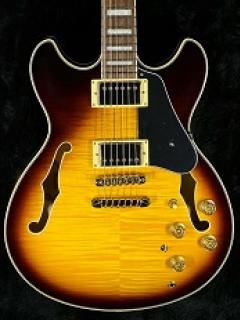 JSM10EM-TTB (Two-tone Burst)【SPOT MODEL】【金利0%!!】