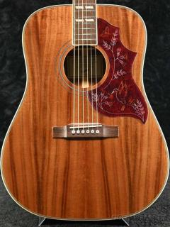 Hummingbird Koa Special w/Fishman《エレアコ》【オンラインストア限定】