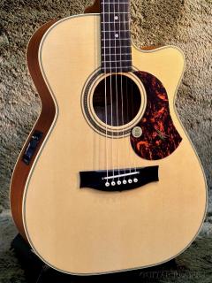 EBG808C Tommy Emmanuel #31160【48回迄金利0%対象】【送料当社負担】