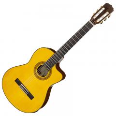 A-35SCE Basic(Electric Cutaway) 【Webショップ限定】