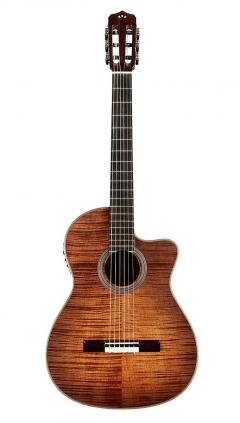 Fusion 12 Cinnamon Burst《エレガット》【2025年4月下旬発売予定!!ご予約承ります!!】【オンラインストア限定】