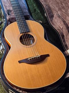 WL-22 (Mahogany/Red Cedar) -2021USED!!-【48回迄金利0%対象】