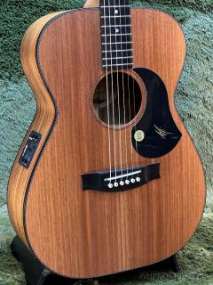 EBW808 ~All Blackwood Series~  #29245【送料当社負担】【48回迄金利0%対象】