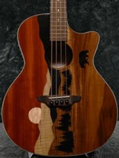 【数量限定特価】Vista Bear Acoustic Bass A/E With Hardshell Case【アコベ】【オンラインストア限定】