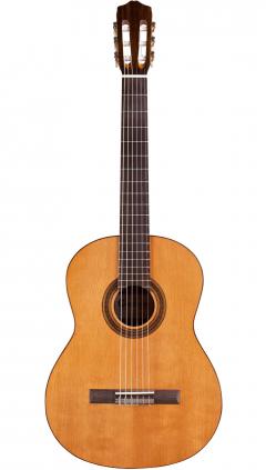 Cordoba C5Limited【オンラインストア限定】