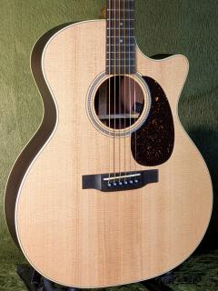 GPC-16E-01 Rosewood  w/Fishman Matrix VT Enhance #2942061