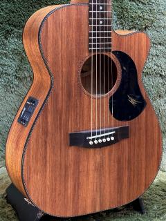 【USED】EBW808 C ~All Blackwood Series~ 【48回迄金利0%対象】【送料込み】