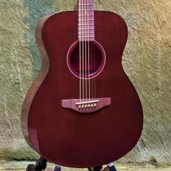 【初心者の方にもおすすめ！】STORIA Ⅲ【パッシブピックアップ搭載】