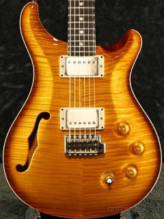 DGT Semi Hollow Limited Edition -McCarty Sunburst- 2024