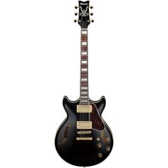 【スポット生産!!】AM73G-BK (Black)《セミアコ》【オンラインストア限定】《1-2営業日で発送予定》