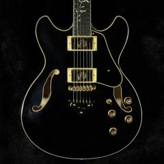 Artcore Expressionist AS93SP -BK (Black)-【3.425kg】【金利0%対象】