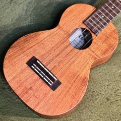 HF-2L Concert Long Neck #250542 【コンサート/ロングネック】【48回金利0%対象】【送料込】