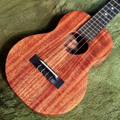 KTM-00 Tenor 【テナー/ハワイアンコア】【24回金利0%対象】【送料込】