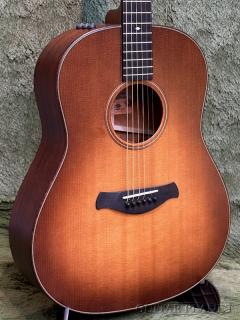 【Taylor認定中古品】Builders Edition 517e WHB -2019USED-【48回迄金利0%対象】【送料当社負担】