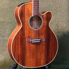 FPT531KC N #62010267【国産エレアコ】【オールコア】