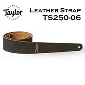 TS250-06 Embroidered Suede Strap / Black【ギターストラップ】