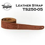 TS250-05 Embroidered Suede Strap / Chocolate Brown【ギターストラップ】