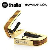 Exotic Wood HAWAIIAN KOA -24K Gold- │ ギター用カポタスト