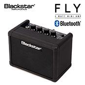 FLY 3 Bluetooth │ ミニアンプ