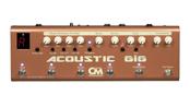 Acoustic GIG《アコースティックギター用マルチエフェクター》【WEBショップ】