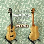 KCM-10RP MG Royal Mango Concert 《コンサートウクレレ》【Webショップ限定】