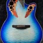 Celebrity Elite Exotic CE48P-RG (Regal To Natural) Super Shallow【オンラインストア限定】