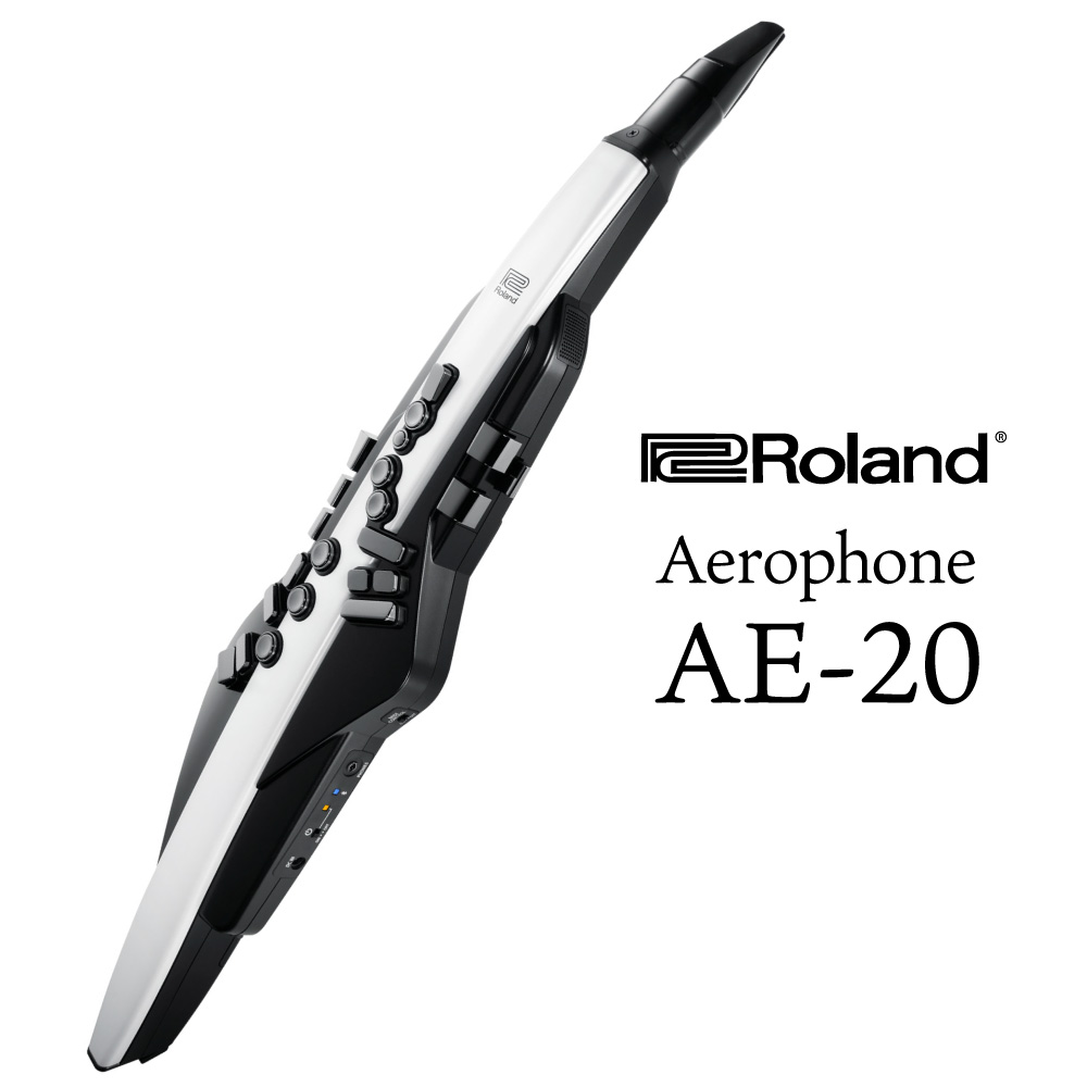 RolandAerophone AE-20 │ WIND INSTRUMENTS商品詳細 | ギター