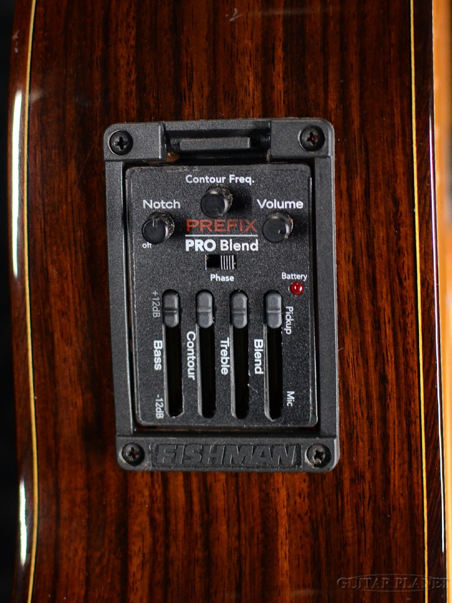 Juan Hernandezホアン・エルナンデス Profesor Flamenca Negra Electric Custom【エレガット】商品詳細  ギタープラネット 御茶ノ水 楽器の専門店、通信販売、楽器買取
