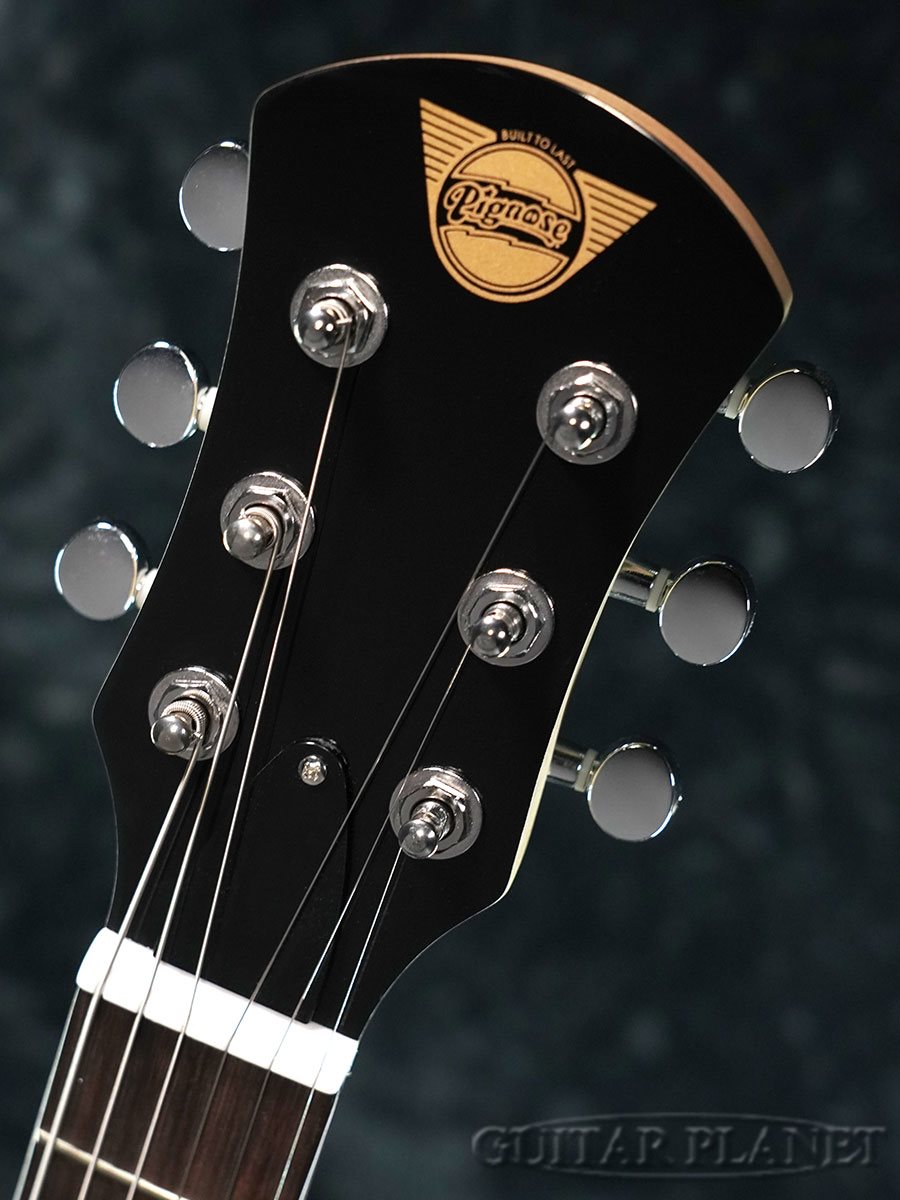 PignosePGG-200FM SBL シースルーブルー【オンラインストア限定