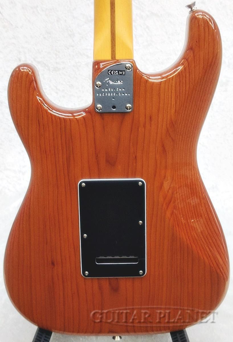 FenderAmerican Professional II Stratocaster -Roasted Pine