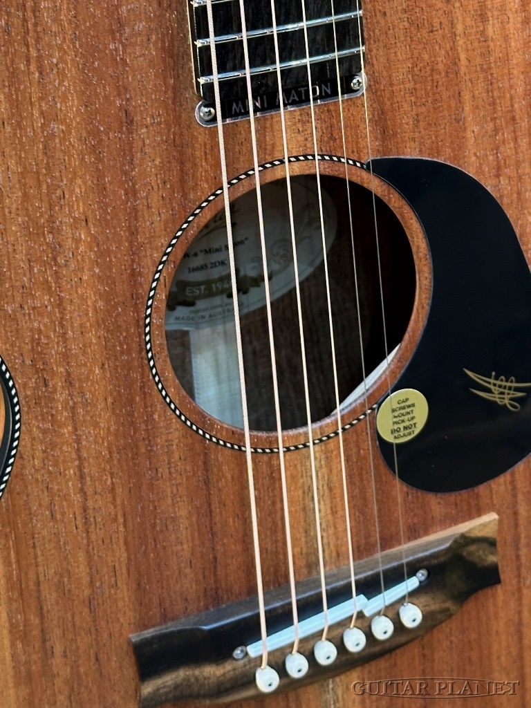 MATON EMBW6 (Mini Maton)（新品）【楽器検索デジマート】