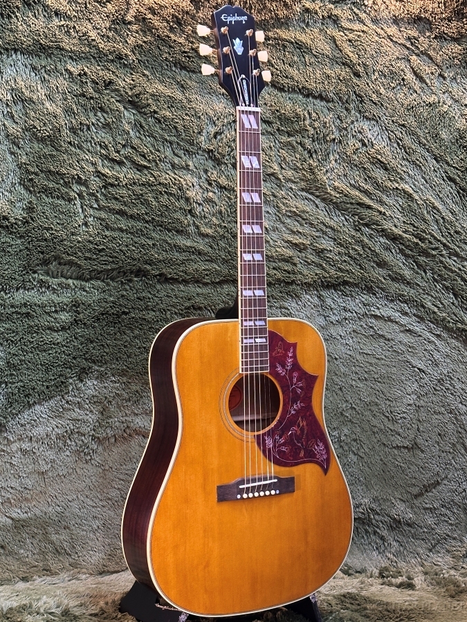 epiphone-epiphone-hummingbird-